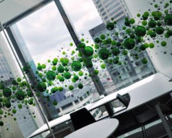 Deloitte window treatment