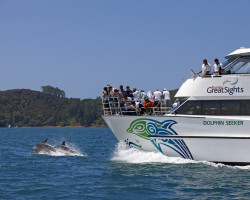 Fullers GreatSights - Dolphin Seeker