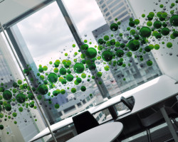 deloitte-window-graphics
