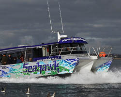 Seahawk Charters