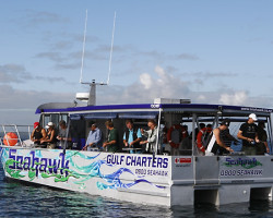 Seahawk Charters