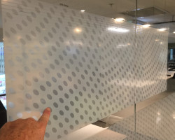 FosterMoore-window-8