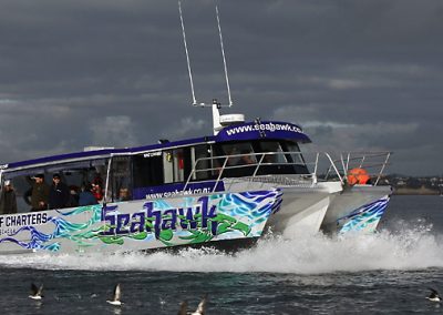 Seahawk catamaran with BIG Ideas applied signwriting