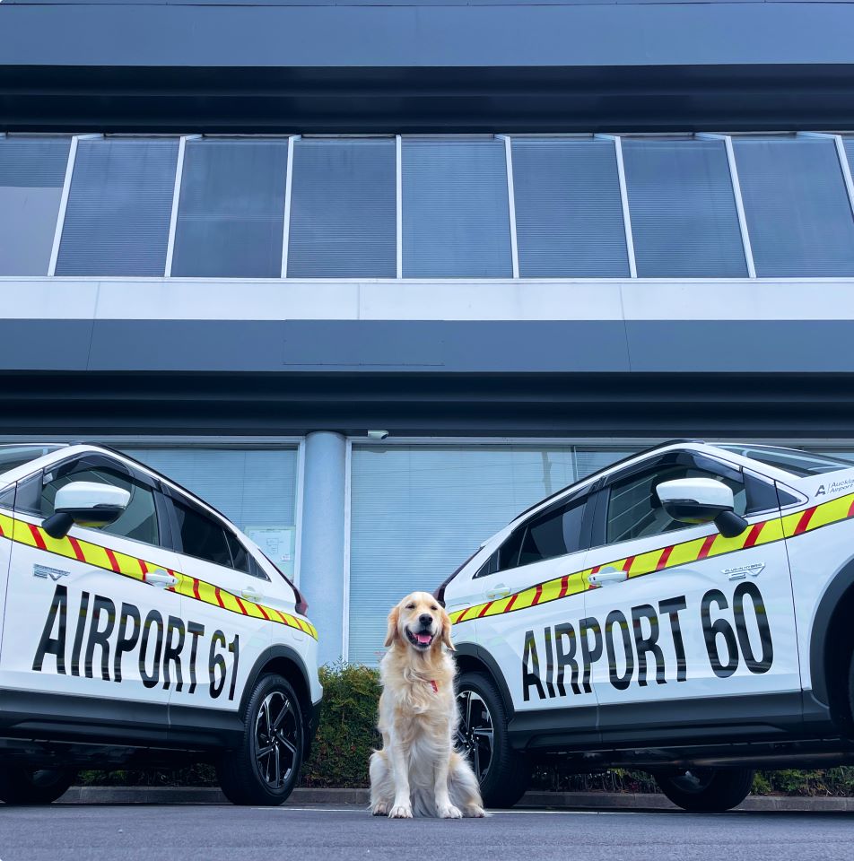 Airport vehicle signwriting with Lola